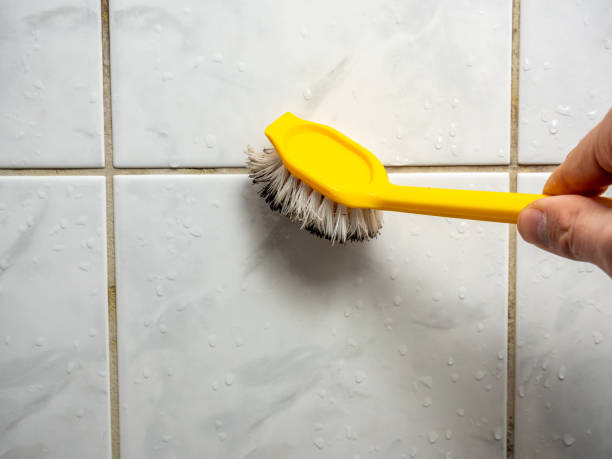 Best Home Mold Removal  in Franklin Grove, IL
