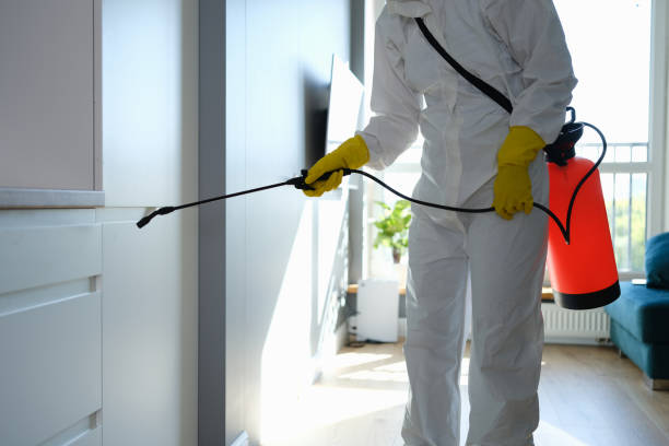 Best Crawl Space Mold Removal  in Franklin Grove, IL