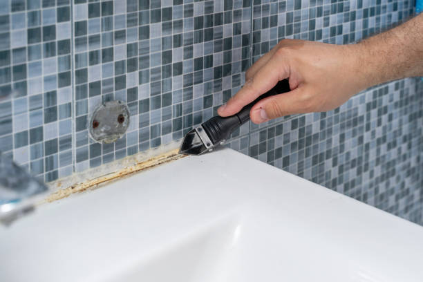 Franklin Grove, IL Mold Removal Company